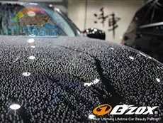 Защита Gzox